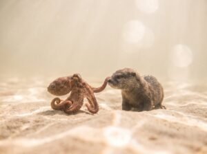 Pieuvre et loutre sur le sable clair - vue d'ensemble des Pods Kubernetes